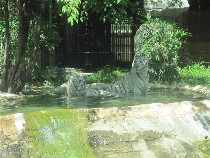 00_18_HCMC (9).JPG